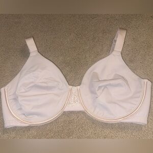 bra in a size 36d